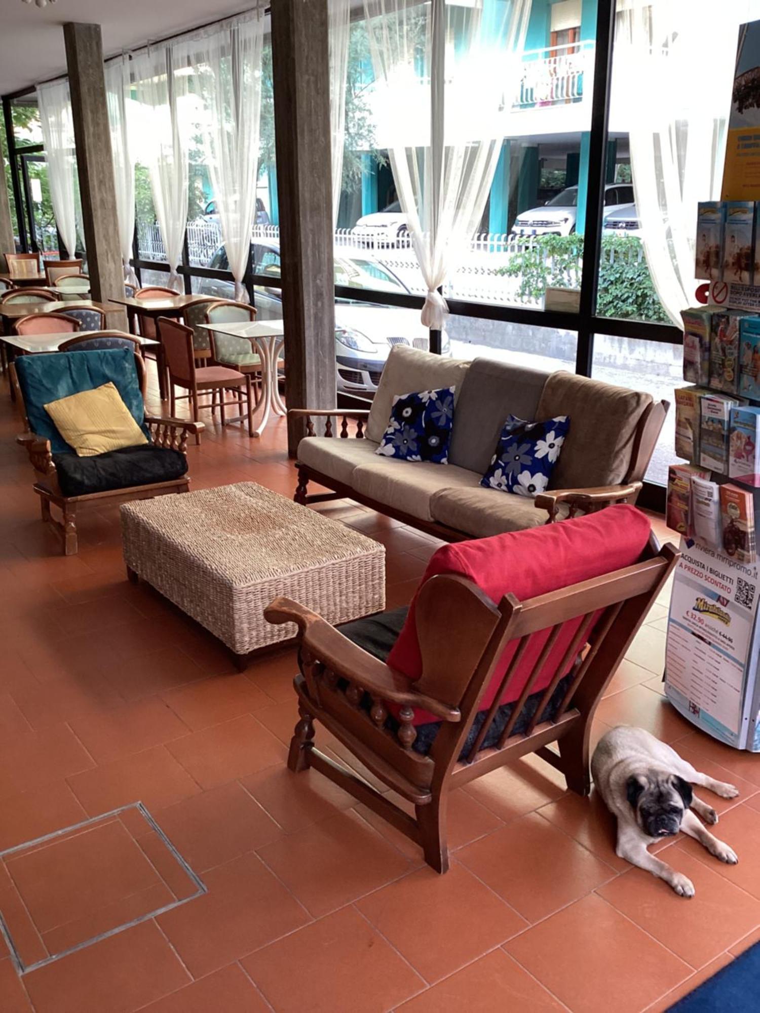 Hotel Villa Alexandra ベラーリア・イジェア・マリーナ エクステリア 写真